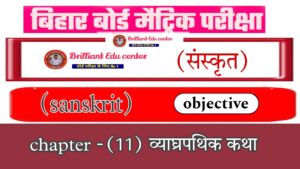 Bihar Board Class 10 Sanskrit Chapter 11 व्याघ्रपथिककथा पीयूषम् भाग 2 |  Sanskrit Objective Question 