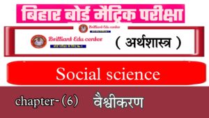 Bihar Board Class 10 Economics Chapter 6 वैश्वीकरण | Social Science Economics Objective Question