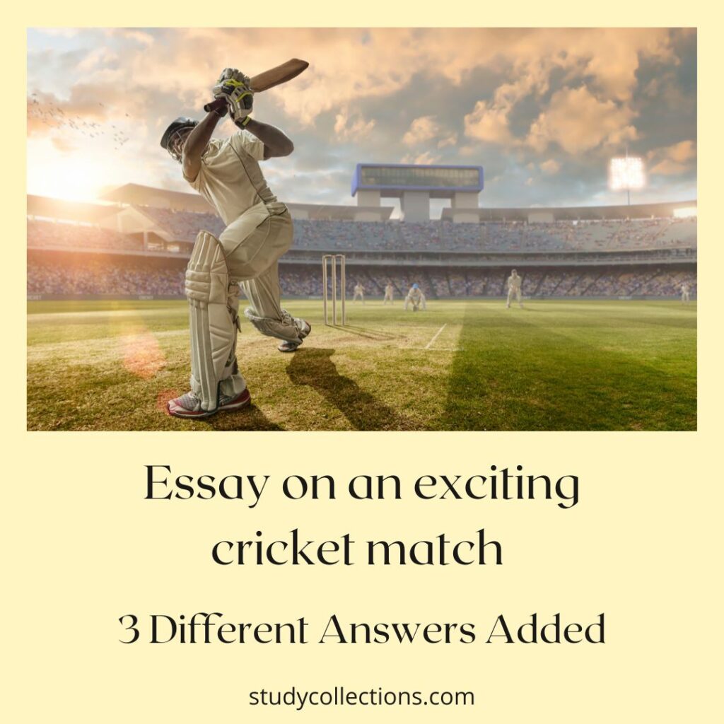 essay about exciting cricket match