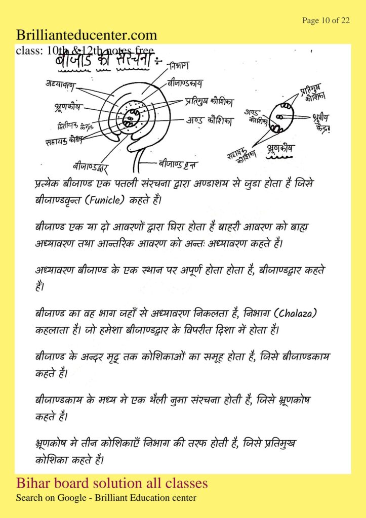 %filename Class 12th Biology chapter 2 notes | बिहार बोर्ड पुष्पि पादपो में लैंगिक जनन नोट्स Class 12th Biology chapter 2 notes | बिहार बोर्ड पुष्पि पादपो में लैंगिक जनन नोट्स