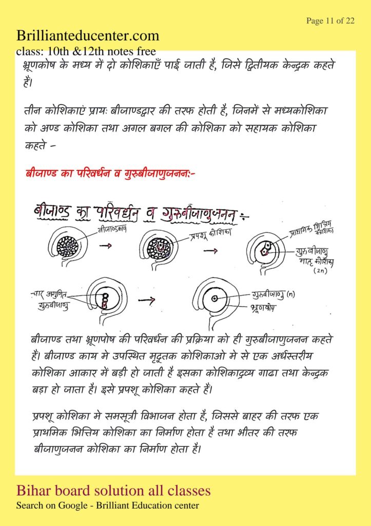 %filename Class 12th Biology chapter 2 notes | बिहार बोर्ड पुष्पि पादपो में लैंगिक जनन नोट्स Class 12th Biology chapter 2 notes | बिहार बोर्ड पुष्पि पादपो में लैंगिक जनन नोट्स