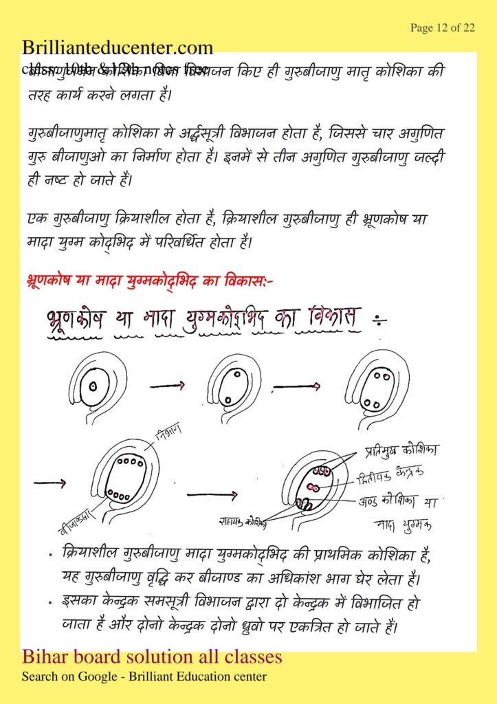 %filename Class 12th Biology chapter 2 notes | बिहार बोर्ड पुष्पि पादपो में लैंगिक जनन नोट्स Class 12th Biology chapter 2 notes | बिहार बोर्ड पुष्पि पादपो में लैंगिक जनन नोट्स