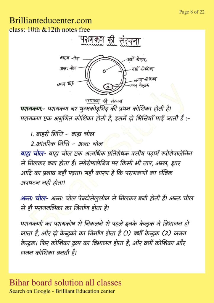 %filename Class 12th Biology chapter 2 notes | बिहार बोर्ड पुष्पि पादपो में लैंगिक जनन नोट्स Class 12th Biology chapter 2 notes | बिहार बोर्ड पुष्पि पादपो में लैंगिक जनन नोट्स