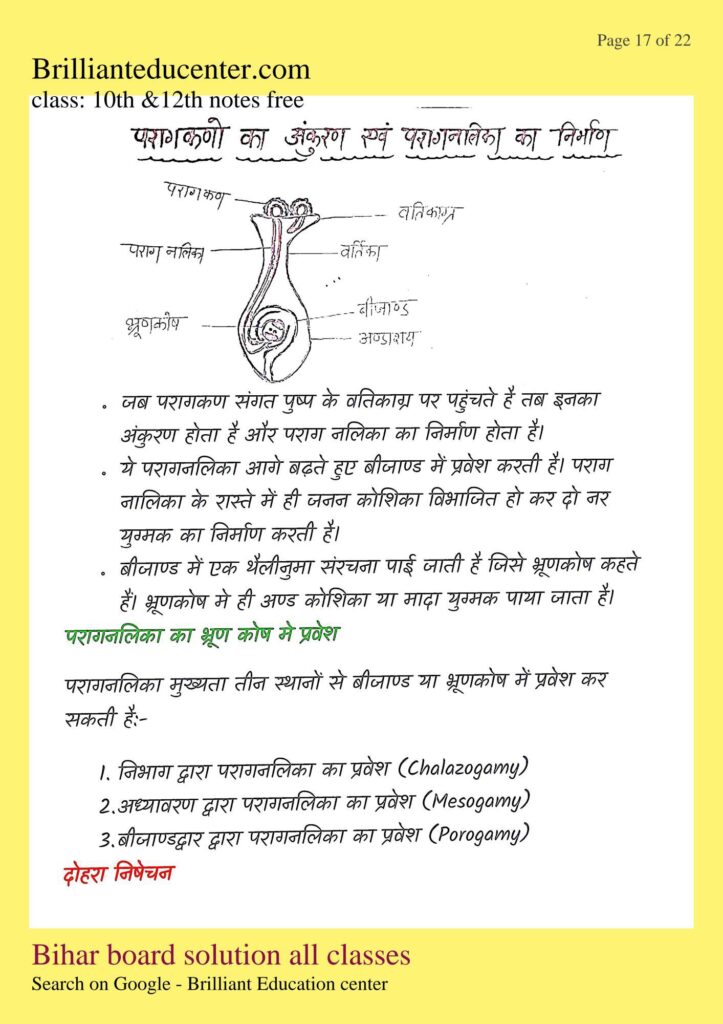 %filename Class 12th Biology chapter 2 notes | बिहार बोर्ड पुष्पि पादपो में लैंगिक जनन नोट्स Class 12th Biology chapter 2 notes | बिहार बोर्ड पुष्पि पादपो में लैंगिक जनन नोट्स