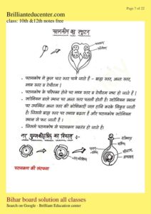 %filename Class 12th Biology chapter 2 notes | बिहार बोर्ड पुष्पि पादपो में लैंगिक जनन नोट्स Class 12th Biology chapter 2 notes | बिहार बोर्ड पुष्पि पादपो में लैंगिक जनन नोट्स