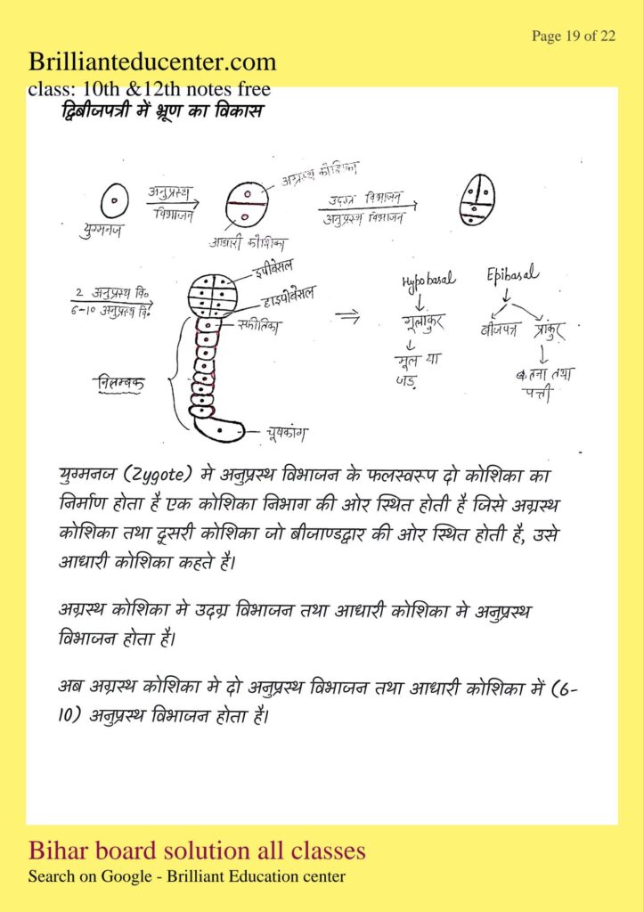 Class 12th Biology chapter 1 notes